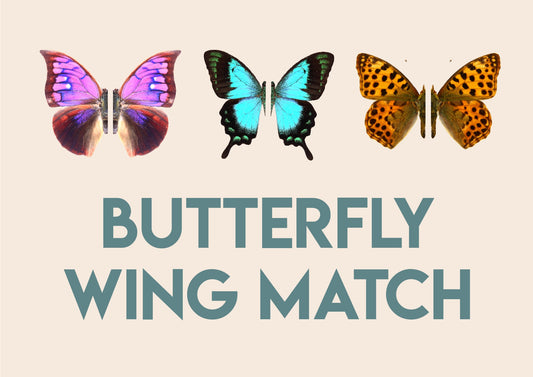 Butterfly Wing Match