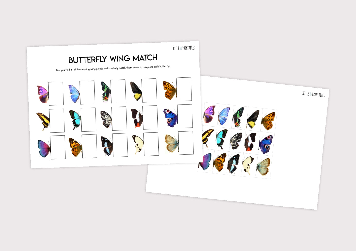 Butterfly Wing Match
