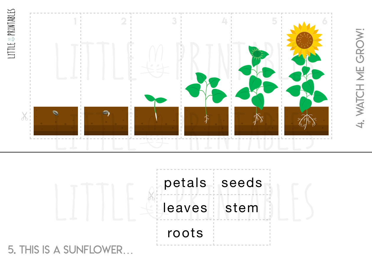 Play & Learn Kit - SPRING GARDEN