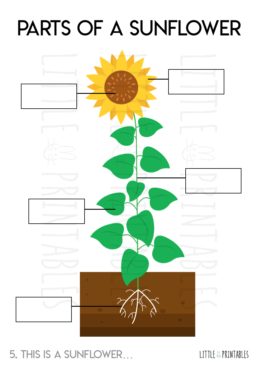 Play & Learn Kit - SPRING GARDEN