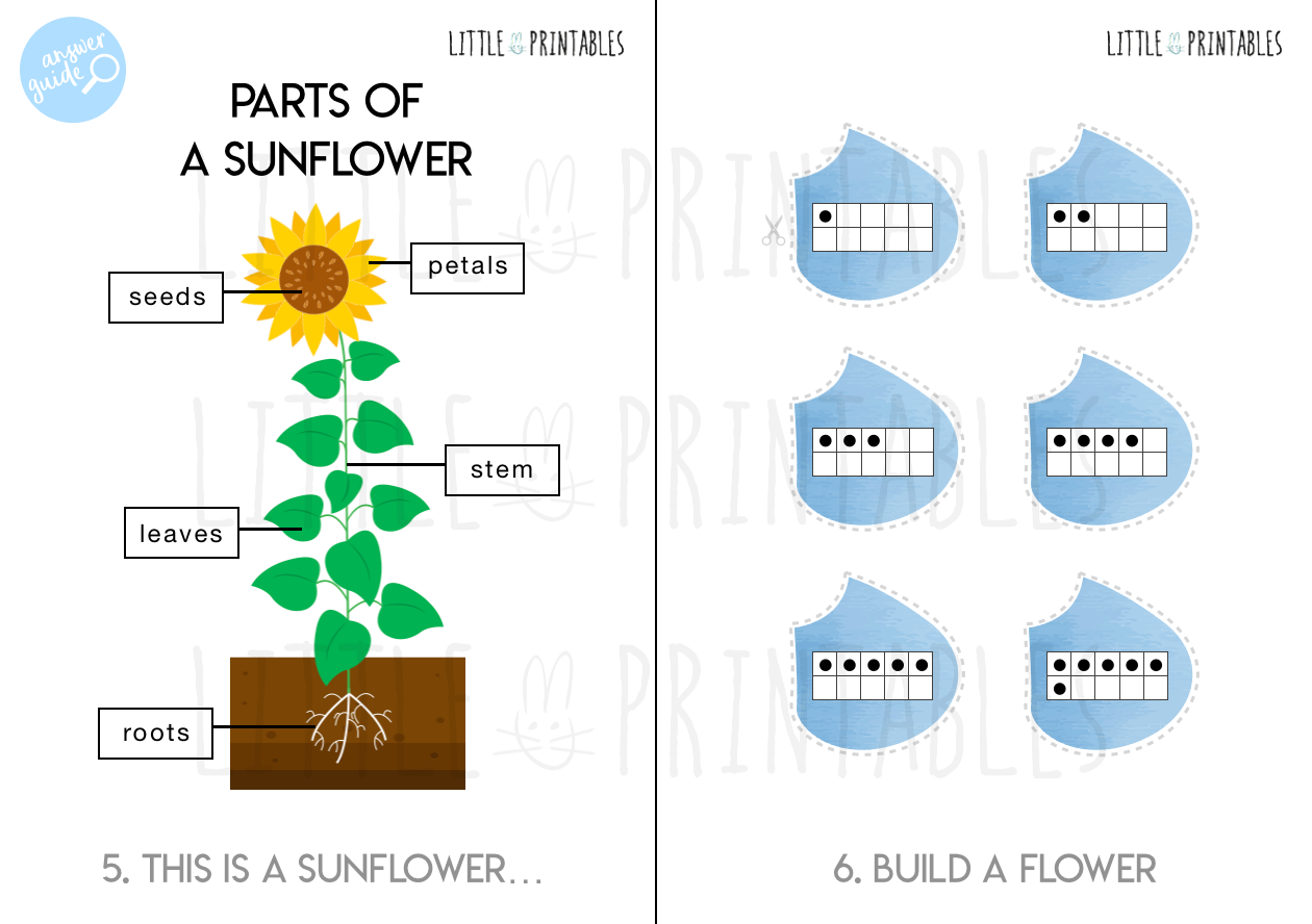Play & Learn Kit - SPRING GARDEN