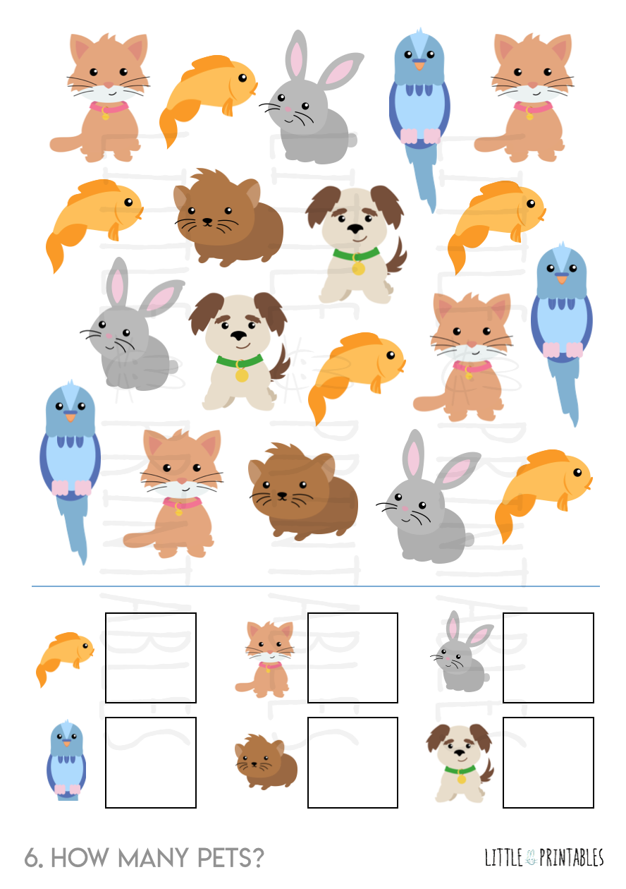 Play & Learn Kit - PET RESCUE