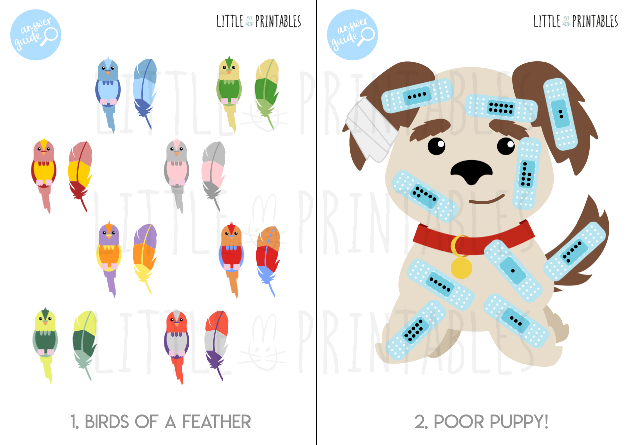 Play & Learn Kit - PET RESCUE