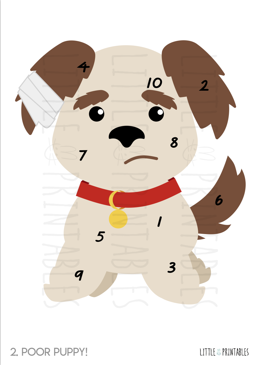 Play & Learn Kit - PET RESCUE
