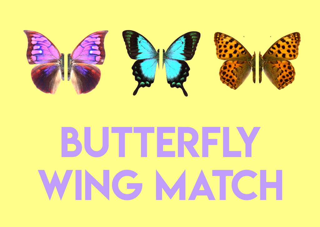 pattern matching butterflies