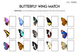 pattern matching butterflies