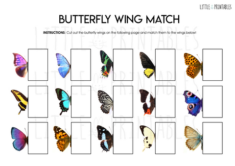 Butterfly Wing Match – Little Printables
